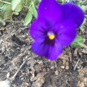 Meet your Posher, Andrew